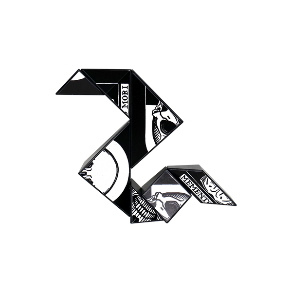 Art Pickagram Magnetic 3D Puzzle_Memento mori